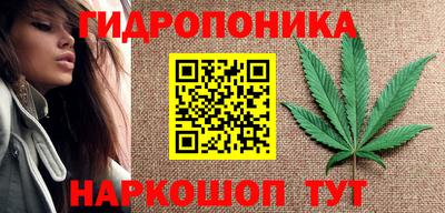 гашиш Кандалакша