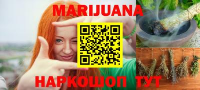 сатива Канаш