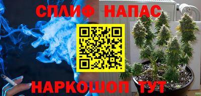 сатива Канаш