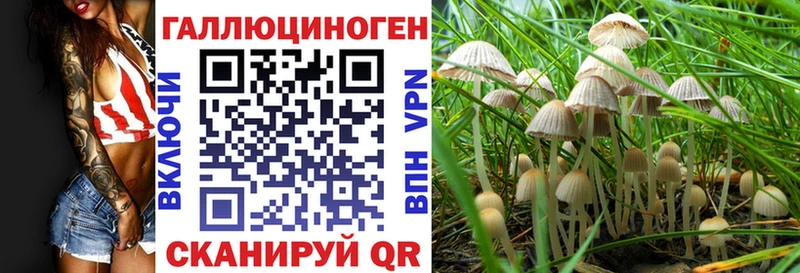 Галлюциногенные грибы прущие грибы Набережные Челны